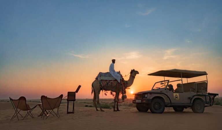 Camel Safari
